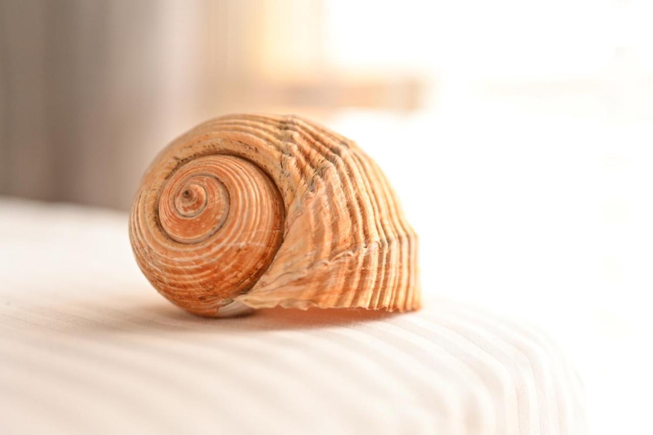 Coastal Retreat - Beach Apartment วญอเรอ ภายนอก รูปภาพ